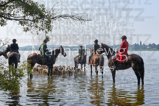 09-23 JAgd PerdölDSC02233_Marina Hewig | Fotografie, FotoArt, PferdesportArt, Pferdesportfotografie, Landschaftsfotografie, Reisefotografie, Reise, Pferde - Realisiert mit Pictrs.com