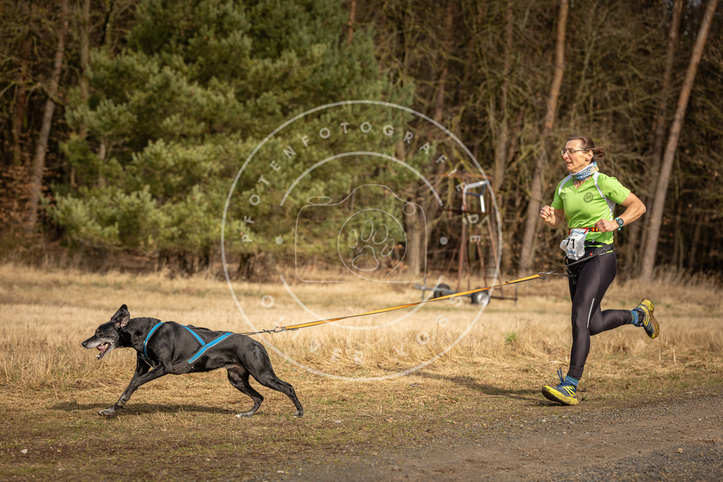 DV3A3729 | Hundefotografie, Tierfotograf, Pfotenfotografie, Fotoshooting Hund, Hunde Portrait, Hundesport, Hundeportraits, Heideshooting, Hunde, Sportfotograf, Hundefotograf, Turnierhundsport, THS,  - Realisiert mit Pictrs.com