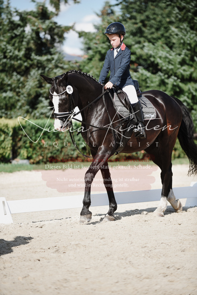DSC_9924 | Pferde- und Turnierfotografie in Westsachsen. Pferdeportraits, Auftragszeichnungen und intuitive Kunst.