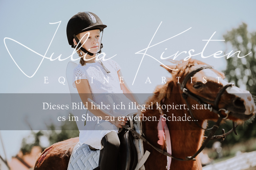 DSC_8884 | Pferde- und Turnierfotografie in Westsachsen. Pferdeportraits, Auftragszeichnungen und intuitive Kunst.