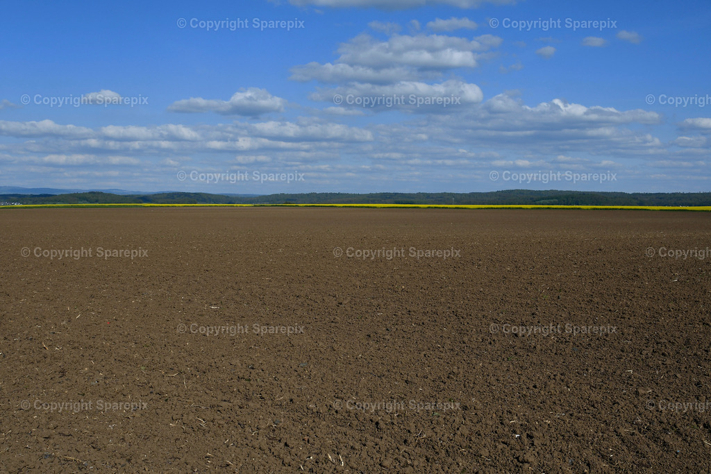 CAR_Agri_Spring_Field25 | Camera height 1,60m - light 4/40° - Realisiert mit Pictrs.com