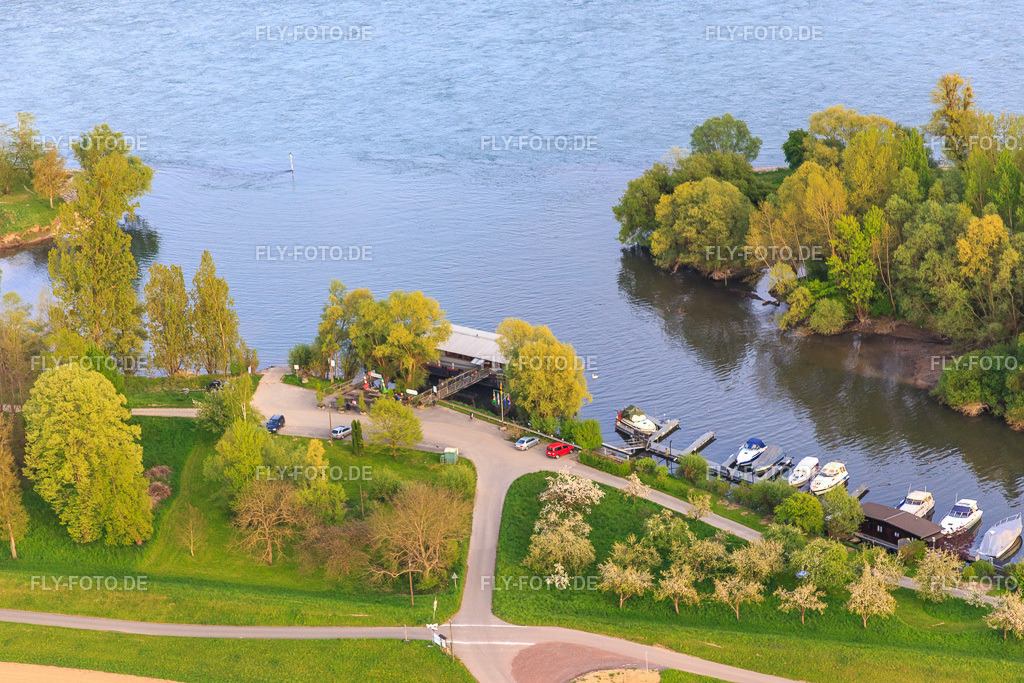 Yachthafen Neuburg an der Lautermündung | Luftbild: Yachthafen Neuburg an der Lautermündung in Neuburg am Rhein im Bundesland Rheinland-Pfalz in Deutschland. Foto: IMG_077966.jpg vom 24.04.2015 durch Werner Riehm/FLY-FOTO.de - Realisiert mit Pictrs.com