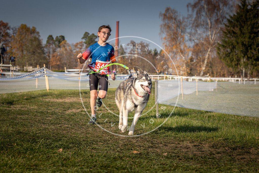 CaniXpix_0L8A9052 | Hundefotografie, Tierfotograf, Pfotenfotografie, Fotoshooting Hund, Hunde Portrait, Hundesport, Hundeportraits, Heideshooting, Hunde, Sportfotograf, Hundefotograf, Turnierhundsport, THS,  - Realisiert mit Pictrs.com