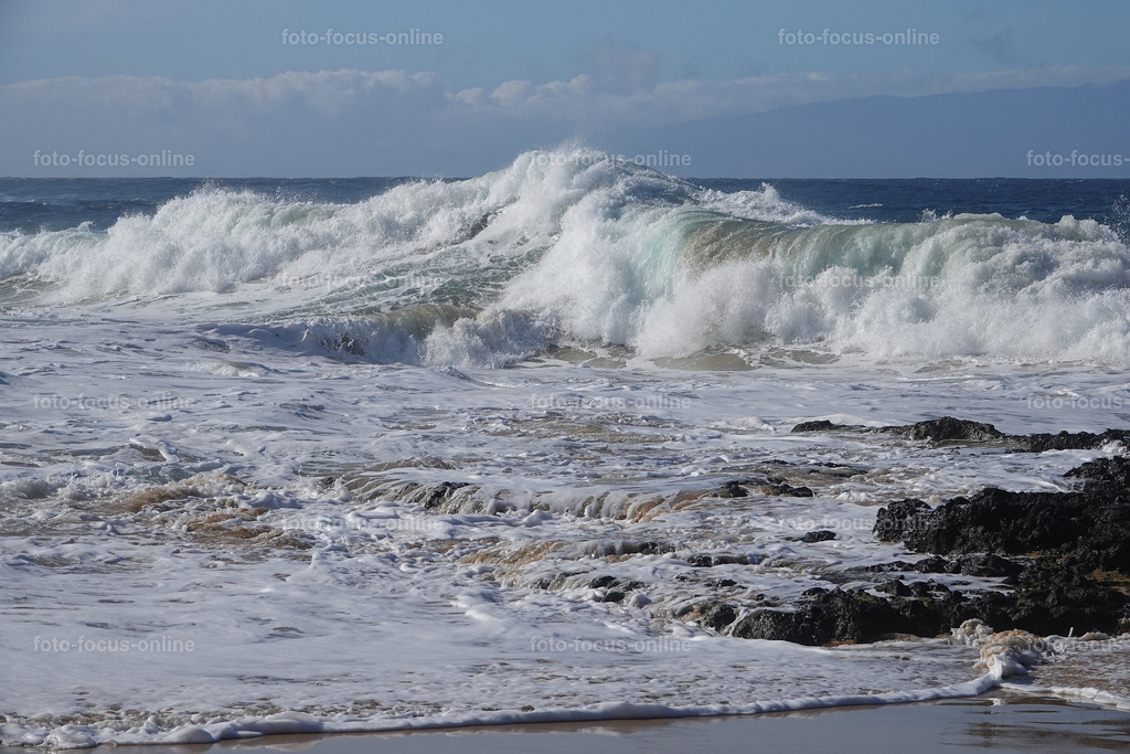 waves | Elemental power of the waves