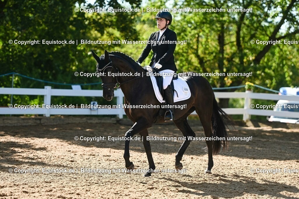 20230715_06_Dressurpferdeprfg. Kl.A_0327 | equistock