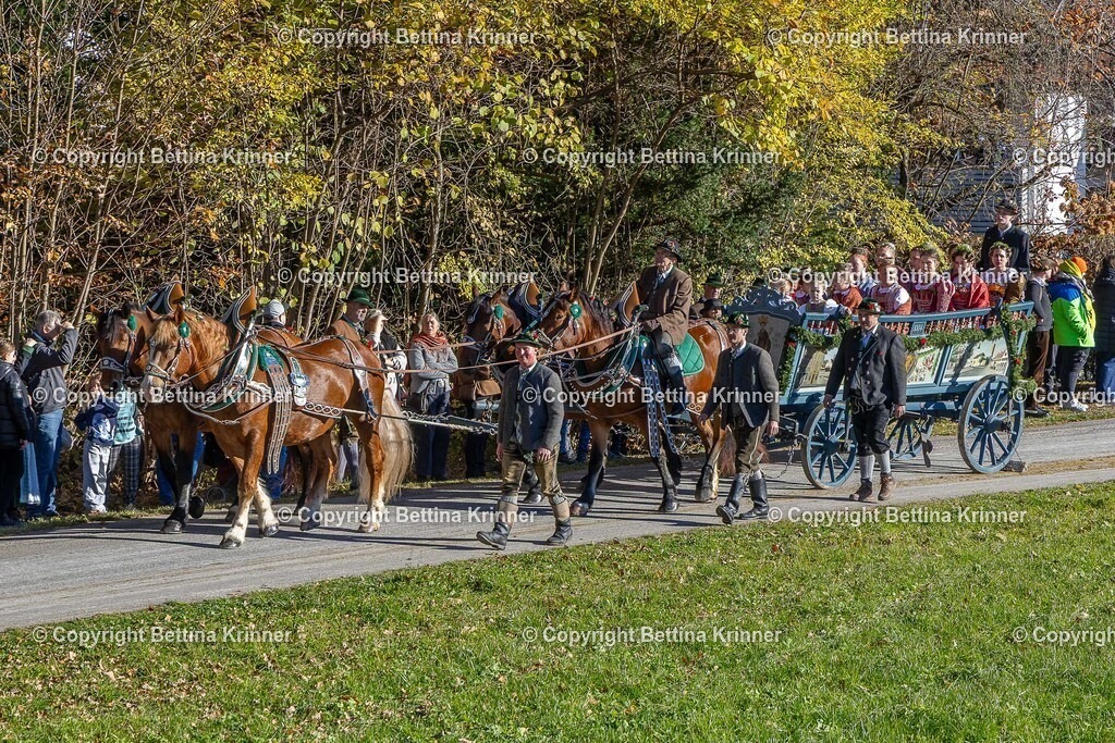 LBT25-480 | foto-bettina-krinner - Realisiert mit Pictrs.com