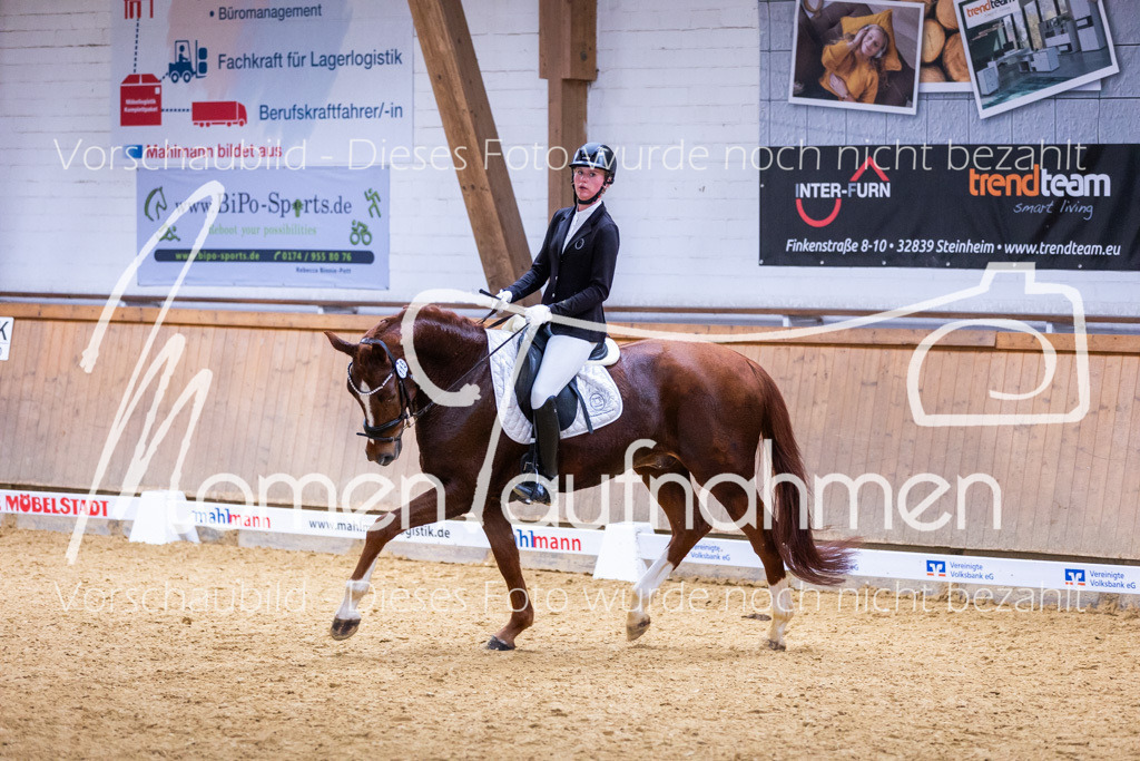 Sth-A-Dre-2St-166 | MomenTaufnahmen Pferdesportfotos