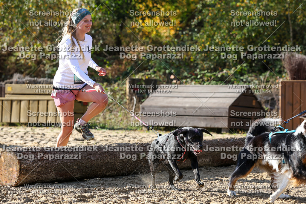 Dog Paparazzi - Strongdog 10-25-6024 | Dog Paparazzi Jeanette Grottendiek Fotografie & Videografie - Realisiert mit Pictrs.com