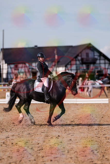 2026_10_03_Siefer-Hof_121034_Z81_12933434 | Professionelle Reitsport-, Turnier- und Eventfotografie von Robert Broda. Galerien mit ausgewählten und bearbeiteten Bildern direkt online ansehen und bestellen.