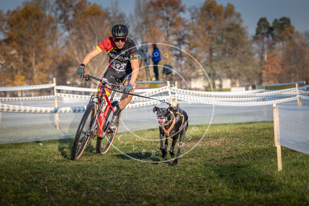 CaniXpix_0L8A3865 | Hundefotografie, Tierfotograf, Pfotenfotografie, Fotoshooting Hund, Hunde Portrait, Hundesport, Hundeportraits, Heideshooting, Hunde, Sportfotograf, Hundefotograf, Turnierhundsport, THS,  - Realisiert mit Pictrs.com
