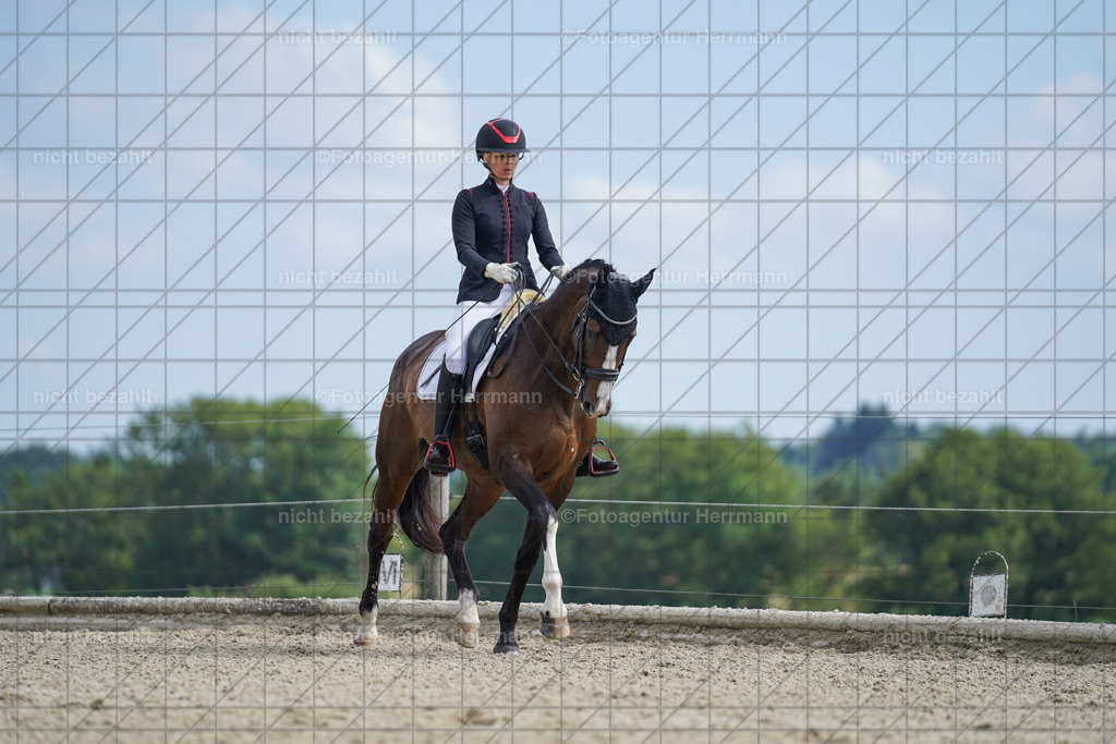 20230826-FAH05984 | Forstinning, 2023, Dressurturnier, Turniersportbilder, Turnierfotografen Bayern, Fotoagentur Herrmann, Reitsportfotografie, Turnierbilder