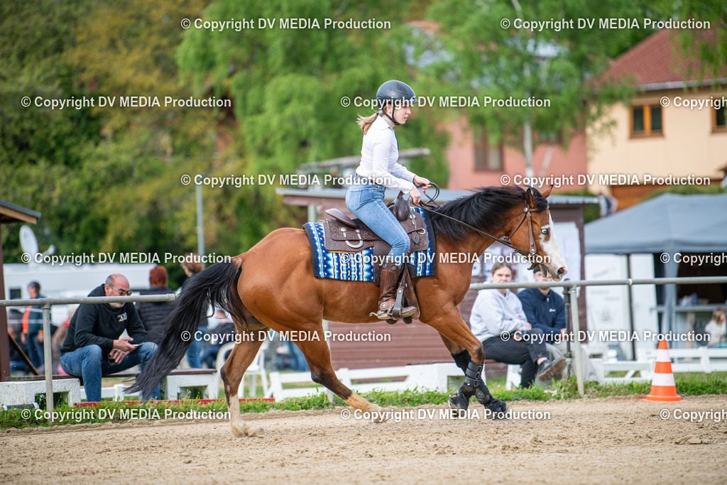 Heiligenwald Tag 1-2501 | dv-media-shop - Realisiert mit Pictrs.com