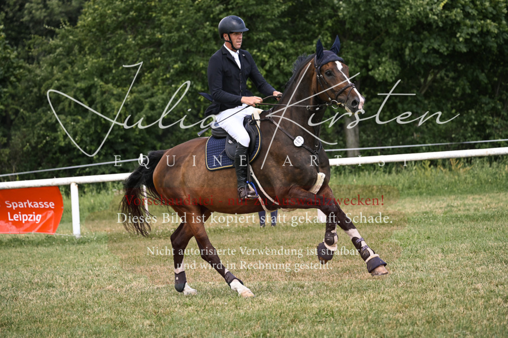 DSC_0846 | Pferde- und Turnierfotografie in Westsachsen. Pferdeportraits, Auftragszeichnungen und intuitive Kunst.