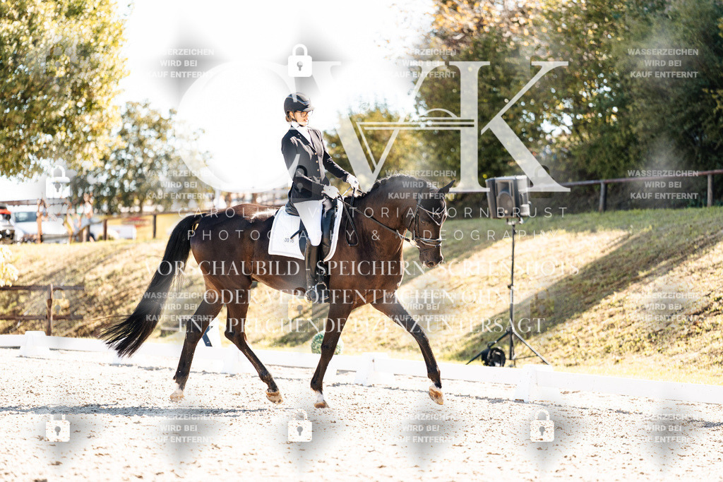 CK908971 | Turnierfotografie Pferdefotografie Trier Rheinland-Pfalz Pferdesport Reitsport Tierfotografie Sportfotografie Pferdevideo Pferdevideografie Equestrianvideography equestrianphotography  - Realisiert mit Pictrs.com