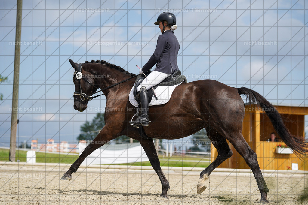 20230826-FAH05235 | Forstinning, 2023, Dressurturnier, Turniersportbilder, Turnierfotografen Bayern, Fotoagentur Herrmann, Reitsportfotografie, Turnierbilder
