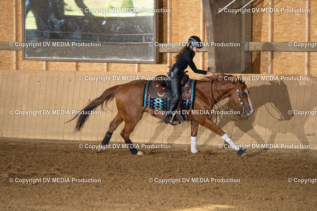 DSC00025 | dv-media-shop - Realisiert mit Pictrs.com