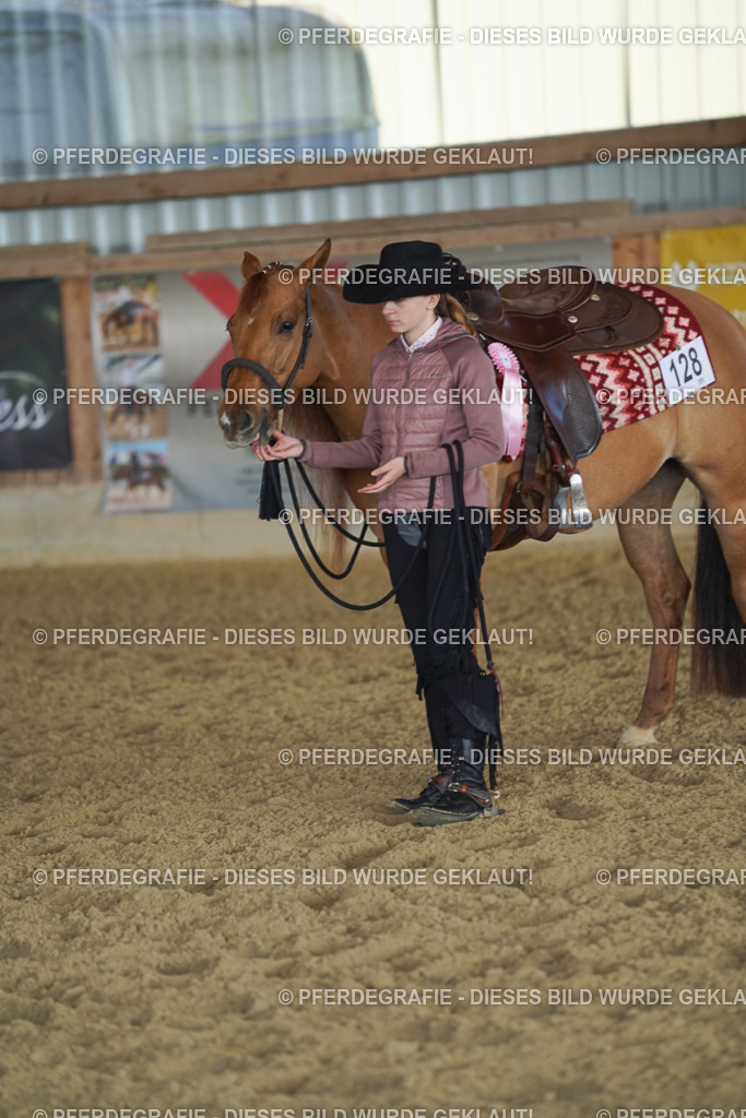 DSC08935 | Pferdegrafie