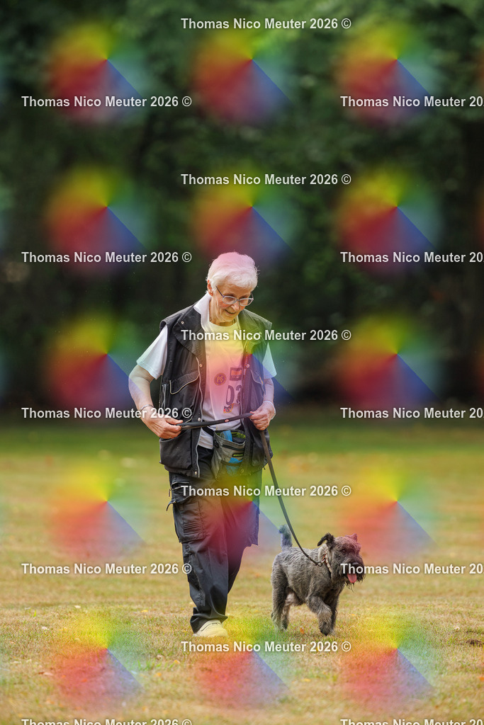 Thomas_Nico_Meuter(C)_22. August 2026_223A0114 | Bild von Thomas Nico Meuter - Realisiert mit Pictrs.com
