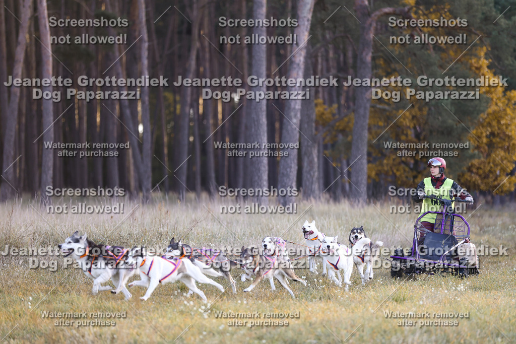 Dog Paparazzi - Elsholz 25 -11 | Dog Paparazzi Jeanette Grottendiek Fotografie & Videografie - Realisiert mit Pictrs.com
