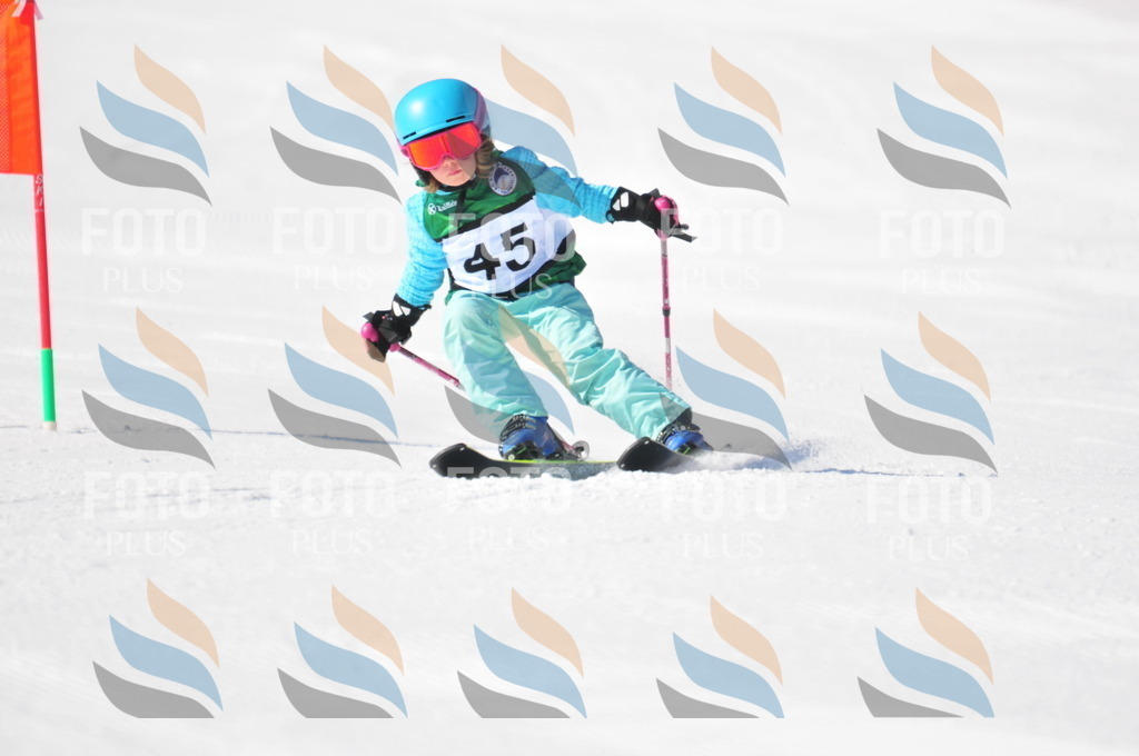 C2778 | holidayphoto