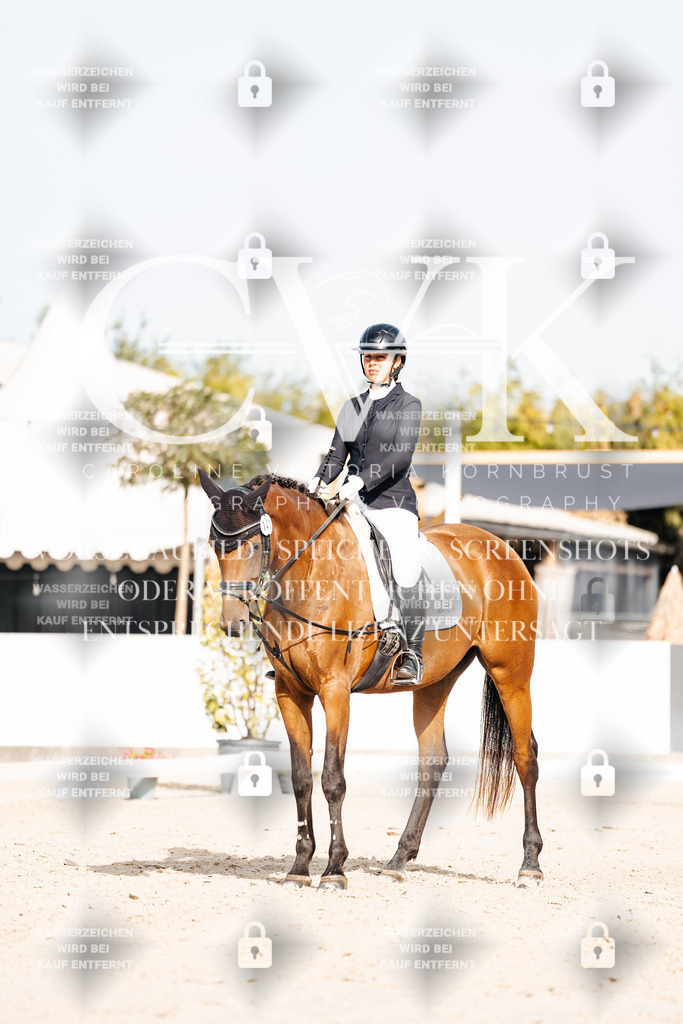 CK904869 | Turnierfotografie Pferdefotografie Trier Rheinland-Pfalz Pferdesport Reitsport Tierfotografie Sportfotografie Pferdevideo Pferdevideografie Equestrianvideography equestrianphotography  - Realisiert mit Pictrs.com