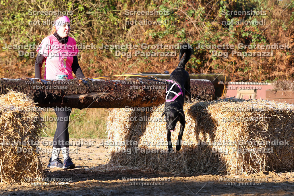 Dog Paparazzi - Strongdog 10-25-837 | Dog Paparazzi Jeanette Grottendiek Fotografie & Videografie - Realisiert mit Pictrs.com