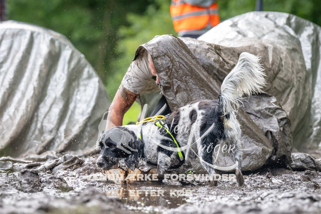 0913_ZZ90428 | kk-dogfotos