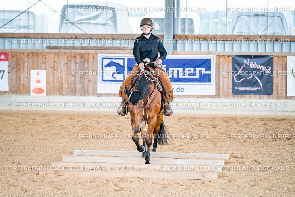 DSC09476 | Pferdegrafie