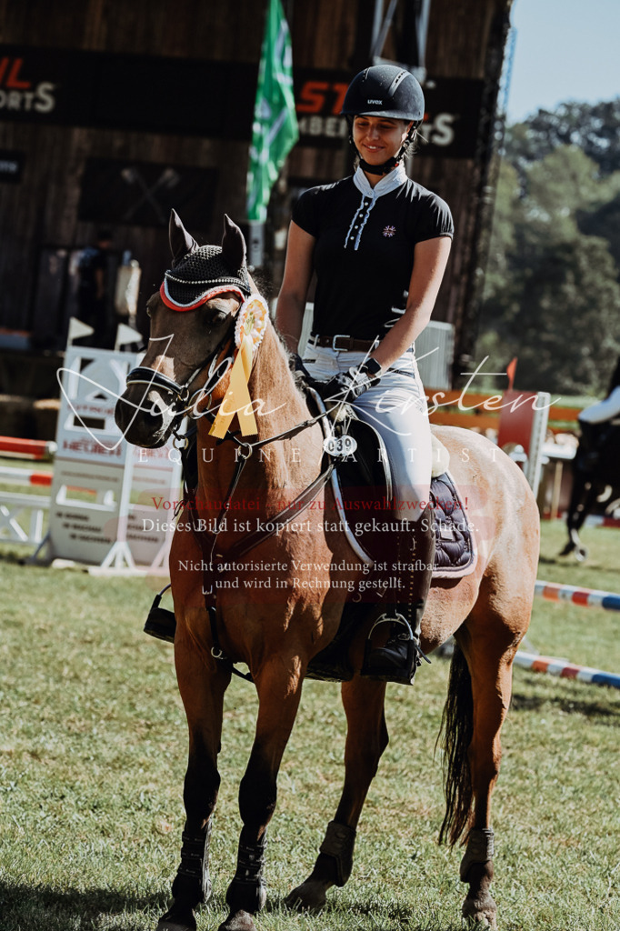 DSC_6202 | Pferde- und Turnierfotografie in Westsachsen. Pferdeportraits, Auftragszeichnungen und intuitive Kunst.