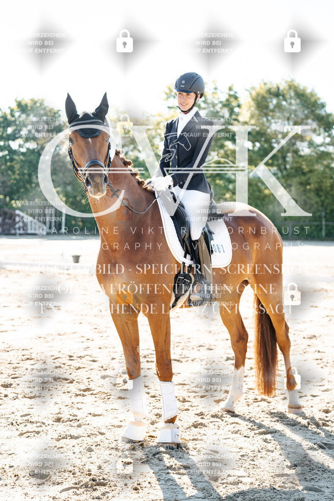 CK703491 | Turnierfotografie Pferdefotografie Trier Rheinland-Pfalz Pferdesport Reitsport Tierfotografie Sportfotografie Pferdevideo Pferdevideografie Equestrianvideography equestrianphotography  - Realisiert mit Pictrs.com