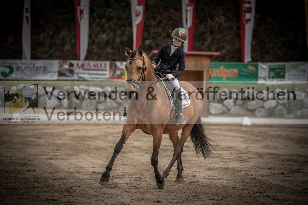 DSC_8421 | equestrian-live-com