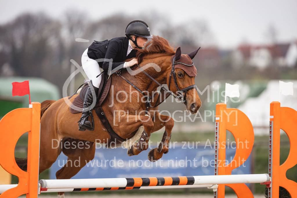 240327_Fruehlingsfest_Stil-L-1-305 | Deine schönsten Turniermomente als professionelle Fotos! Entdecke hochwertige Pferdesport-Fotografie im Online-Shop. Jetzt Fotos finden & bestellen!