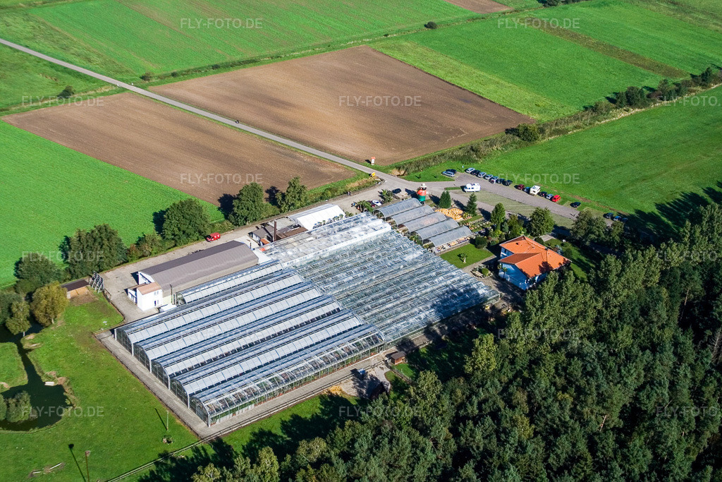 Luftbild: Steinfeld, Kakteenland in Steinfeld im Bundesland Rheinland-Pfalz in Deutschland. Foto: IMG_4349.jpg vom 08.10.2006 durch Werner Riehm/FLY-FOTO.de