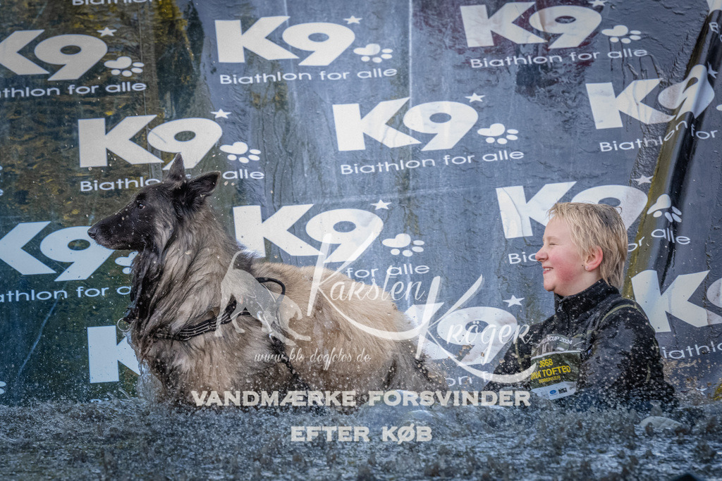 1441_ZZ93788 | kk-dogfotos