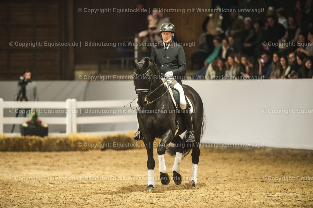 20240302_Hengstvorstellung_Marbach_TOMsPiC_1480 | equistock