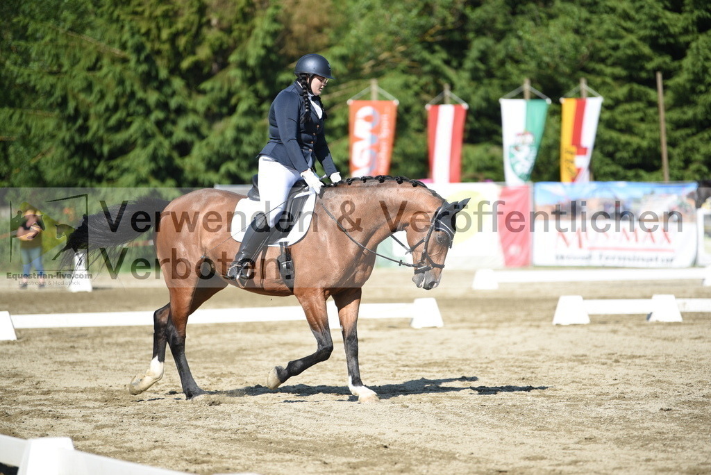 DSC_7326 | equestrian-live-com