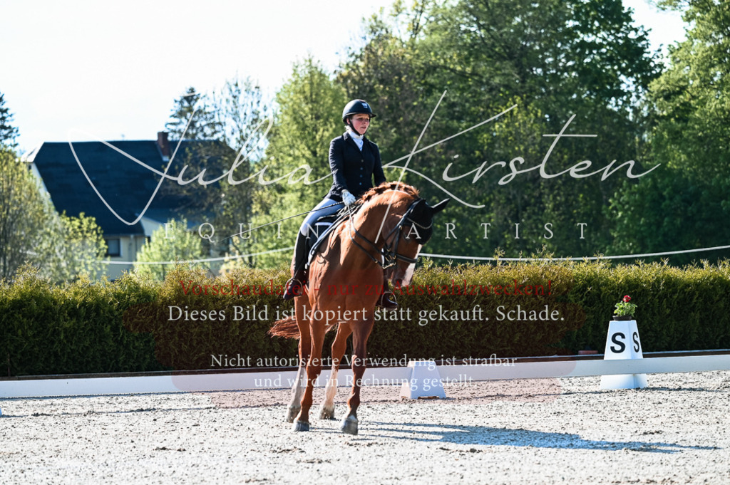 20230513_JK-Röhrsdorf-10-0006 | Pferde- und Turnierfotografie in Westsachsen. Pferdeportraits, Auftragszeichnungen und intuitive Kunst.