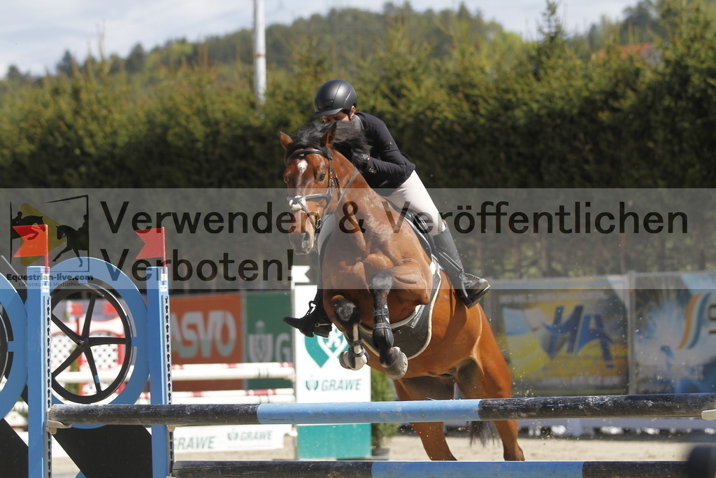 _MG_5497 | equestrian-live-com