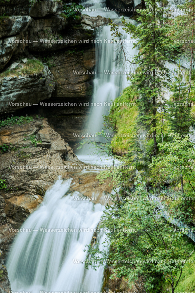 JW0A2453 | #Grafikstudio Simplex #Fotos Juri Anikanov #Eventfotos #Grafiker #Fotograf #Eventfotograf #Fotograf Lauf #Fotogalerie #Shop #Sportfotograf #Fotograf Lauf an der Pegnitz  #Fotograf Lauf - Realisiert mit Pictrs.com