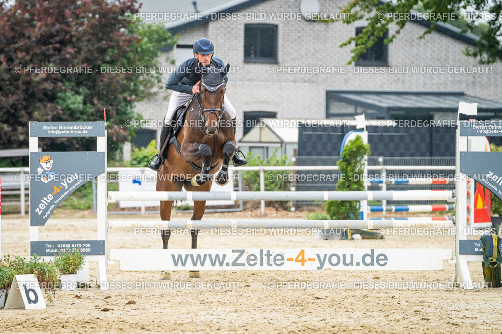 DSC00553 | Pferdegrafie