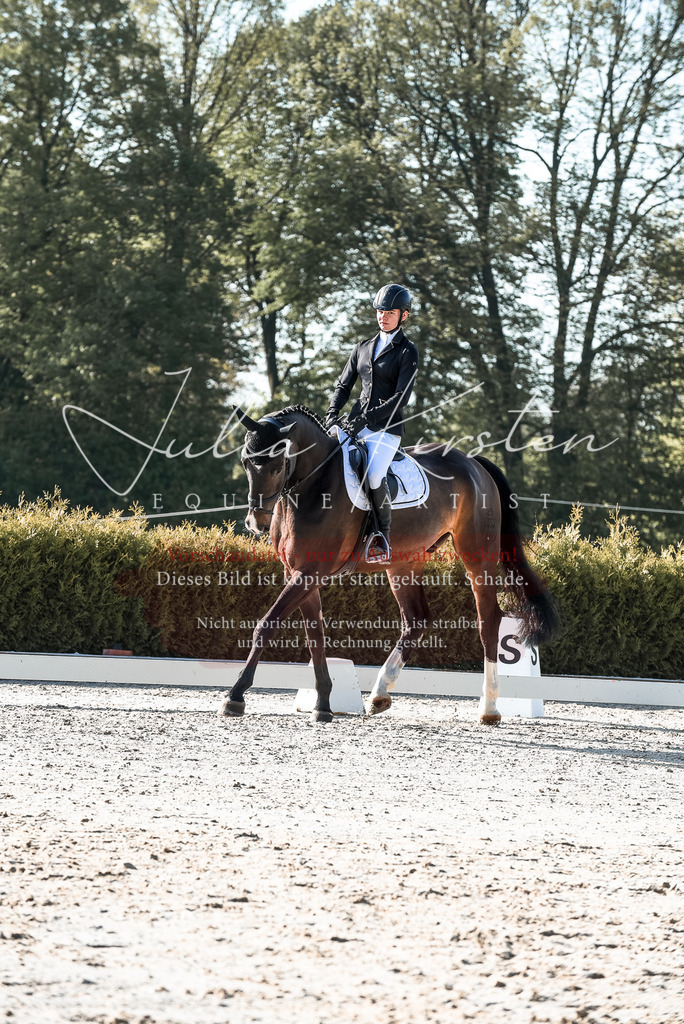 20230518_JK-Röhrsdorf-09-0568 | Pferde- und Turnierfotografie in Westsachsen. Pferdeportraits, Auftragszeichnungen und intuitive Kunst.