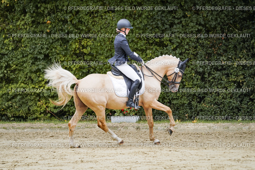 DSC09009 | Pferdegrafie