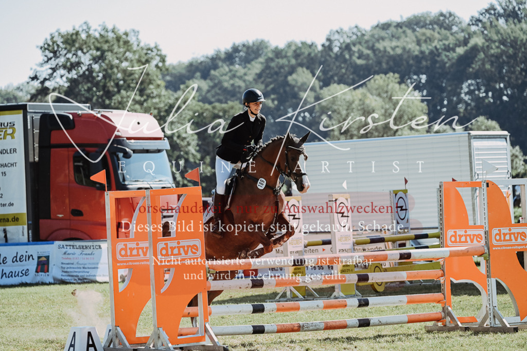 DSC_5408 | Pferde- und Turnierfotografie in Westsachsen. Pferdeportraits, Auftragszeichnungen und intuitive Kunst.