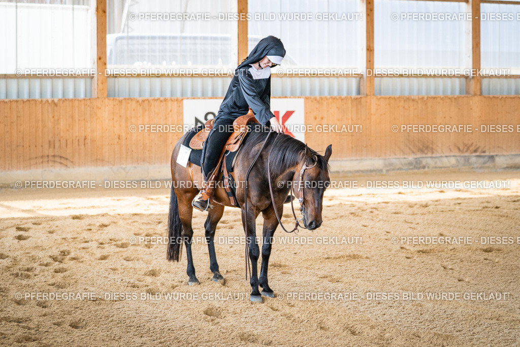 DSC04769 | Pferdegrafie