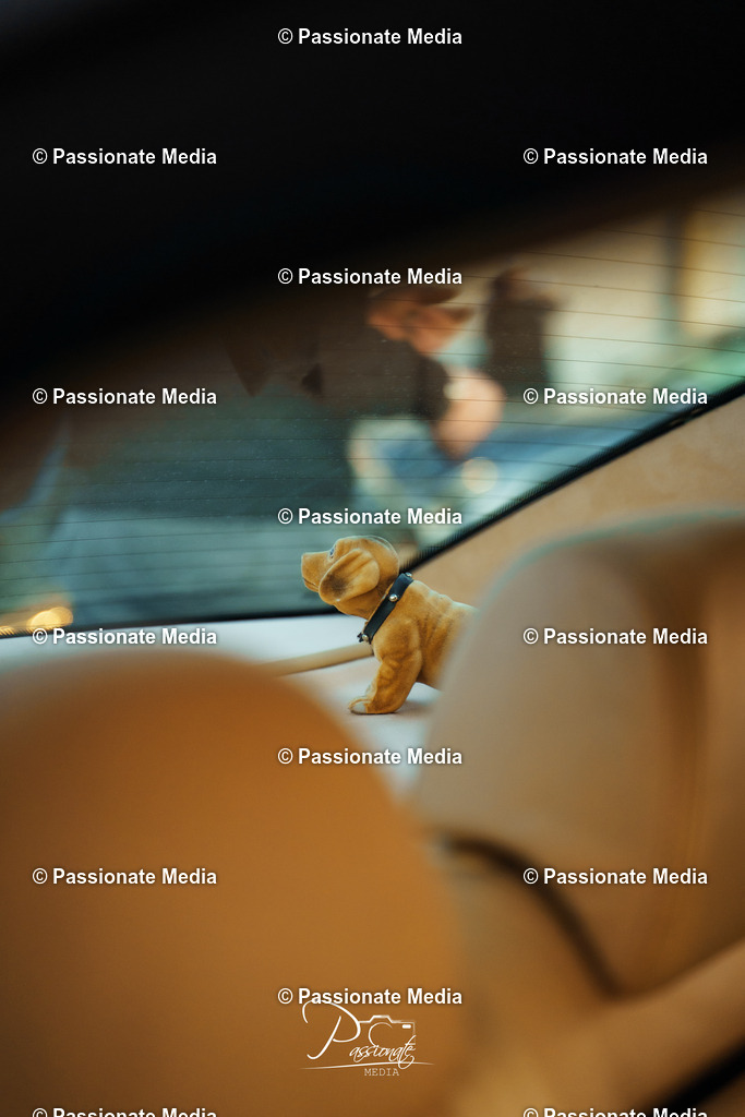 DSC00210 | Passionate Media, dein Fotograf aus Brandenburg, Märkisch Oderland, im Bereich Motorsport, Autos und Motorräder sowie Events und auch Hunde. Shootings oder auch Eventbegleitungen können bei mir gebucht we