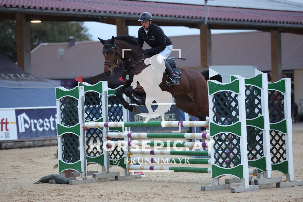 0P6A5171 | Willkommen bei Brunnmayr - Design & Fotografie – Ihrem Spezialisten für Reitturniere und Pferdeveranstaltungen in Oberösterreich, Salzburg und Bayern! Seit über 17 Jahren sind wir leidenschaftlich dabei.