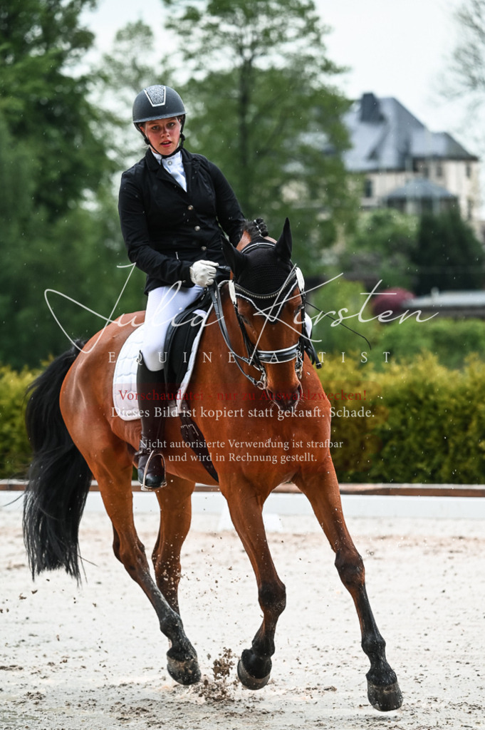DSC_4407 | Pferde- und Turnierfotografie in Westsachsen. Pferdeportraits, Auftragszeichnungen und intuitive Kunst.