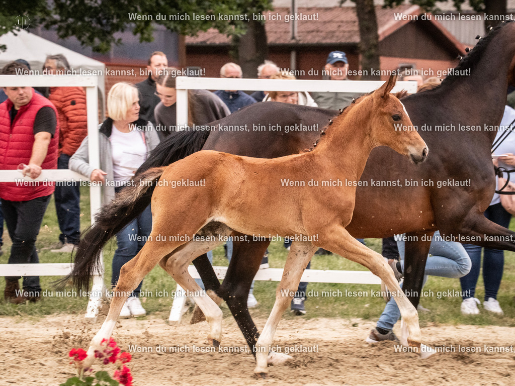 A10I6336 | photographylinaismer - Realisiert mit Pictrs.com