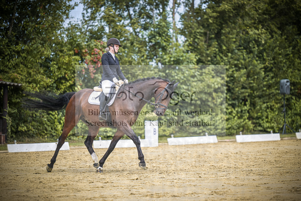DOS_3671 | Entdecke hochwertige Reitturnierfotos von Foto Oger. Professionell, emotional und authentisch – jetzt Lieblingsmomente im Shop bestellen.Deutschlandweite Turnierfotografie. - Realisiert mit Pictrs.com