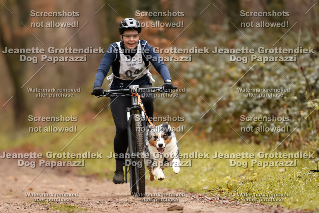 Dog Paparazzi - Speedhunter Mannheim  2025-9 | Dog Paparazzi Jeanette Grottendiek Fotografie & Videografie